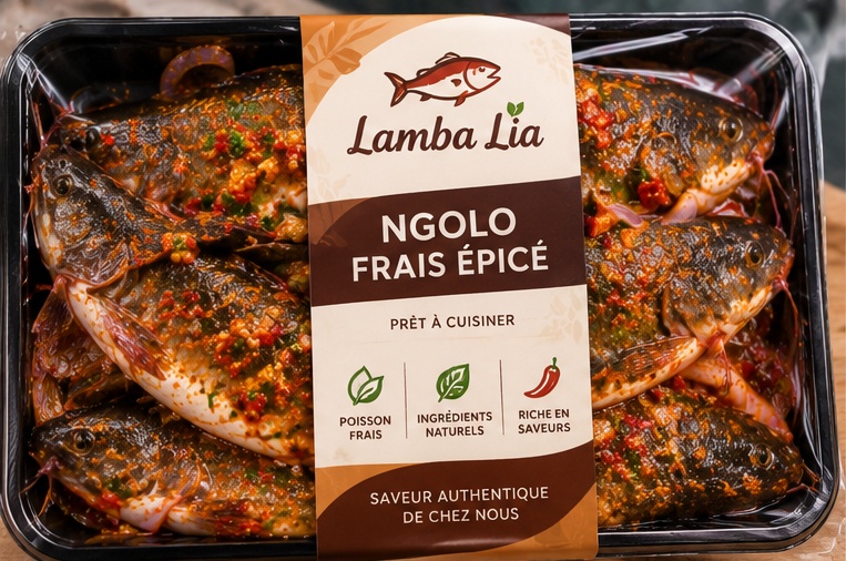 01 lamba lia ngolo epice[1]